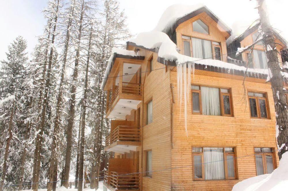 Hotel Pine Spring Γκουλμάργκ Εξωτερικό φωτογραφία